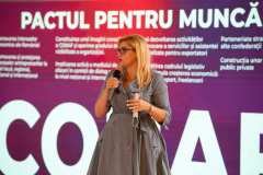 conferinta-pactul-ptr-munca-timisoara-079